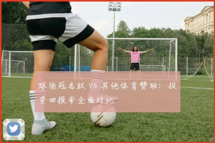 球场冠名权 vs 其他体育赞助：投资回报率全面对比