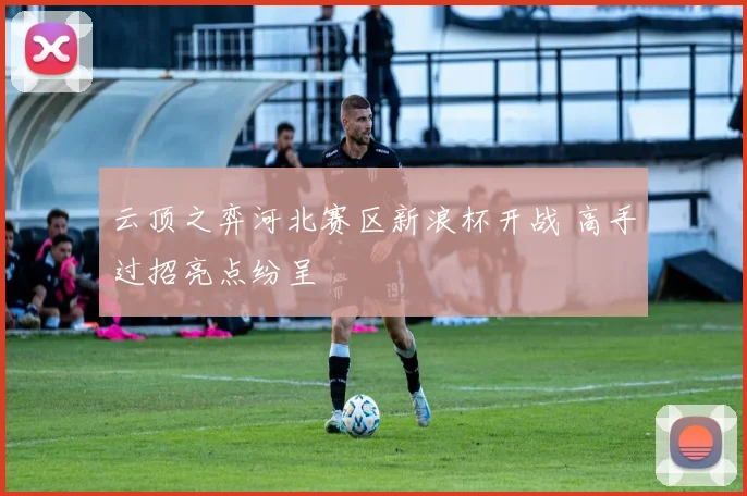 云顶之弈河北赛区新浪杯开战 高手过招亮点纷呈
