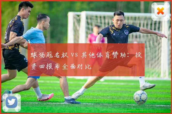 球场冠名权 vs 其他体育赞助：投资回报率全面对比